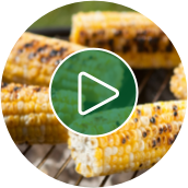 Cooking Video Grillcorn