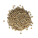 Dried Brown Lentils