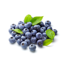 Fresh Blueberries