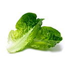 Romaine Lettuce