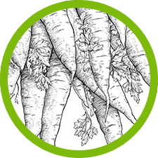 Coloringpage Advanced A
