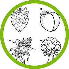 Coloringpage Beginner D