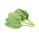 Spinach