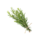 Rosemary