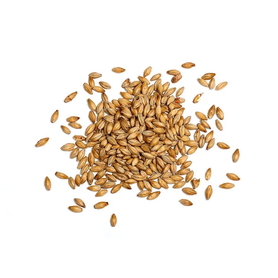 Barley