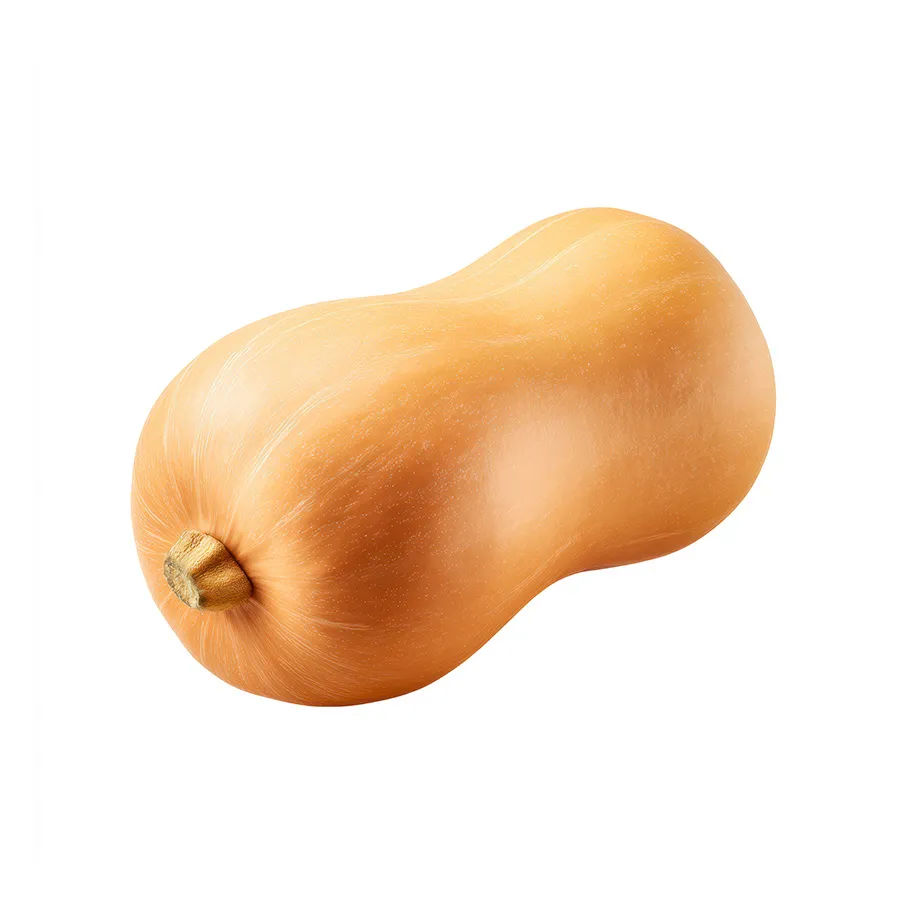 Butternut Squash