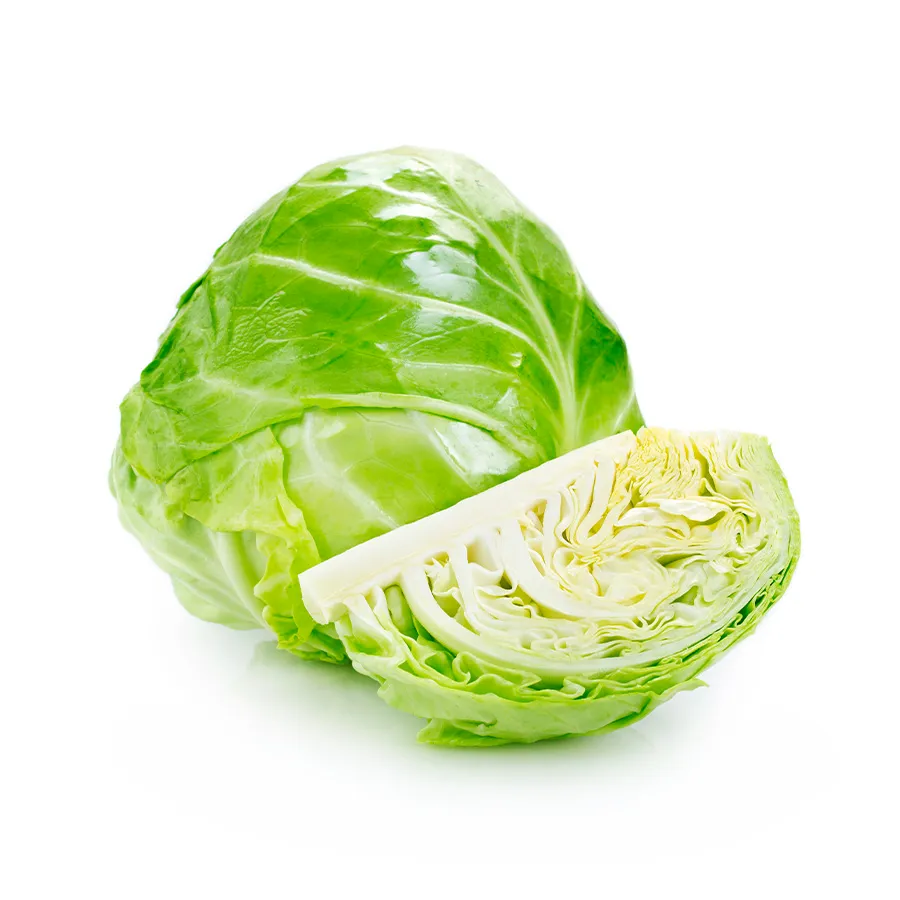 Cabbage