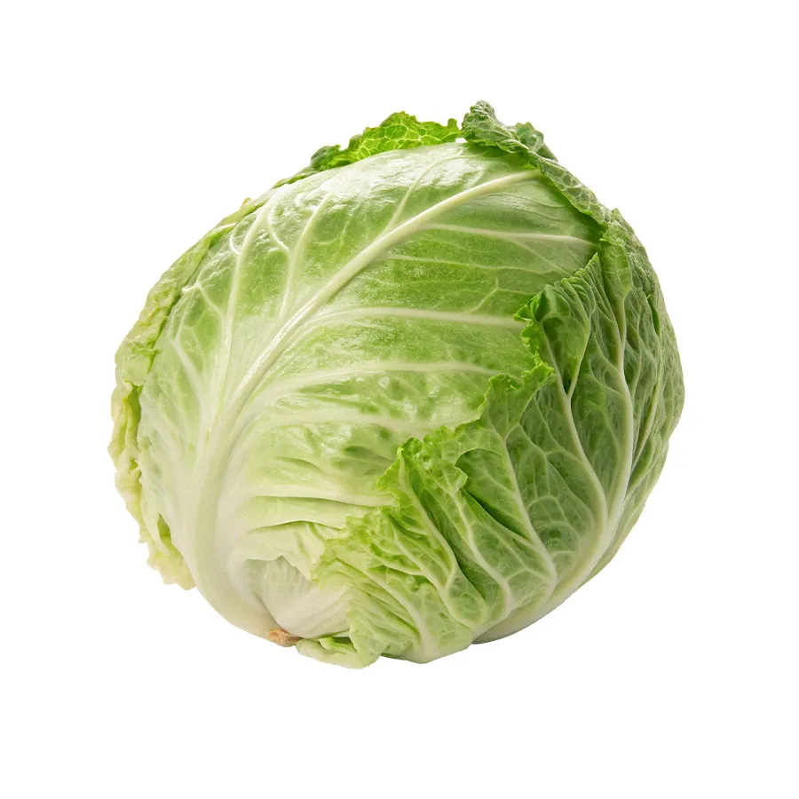 Cabbage