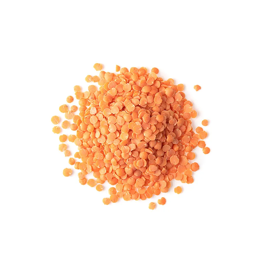 Dried Lentils