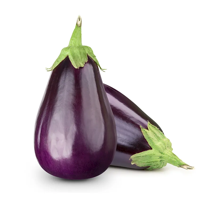 Eggplant