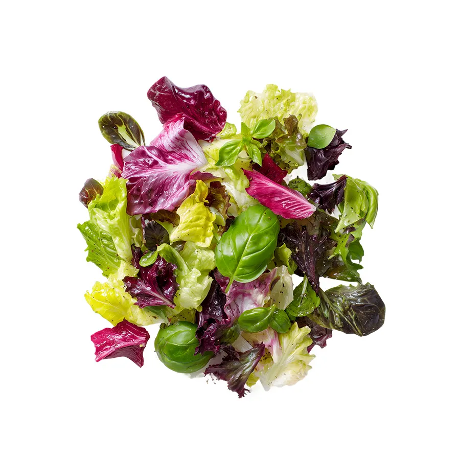 Green Leafy Vegetables