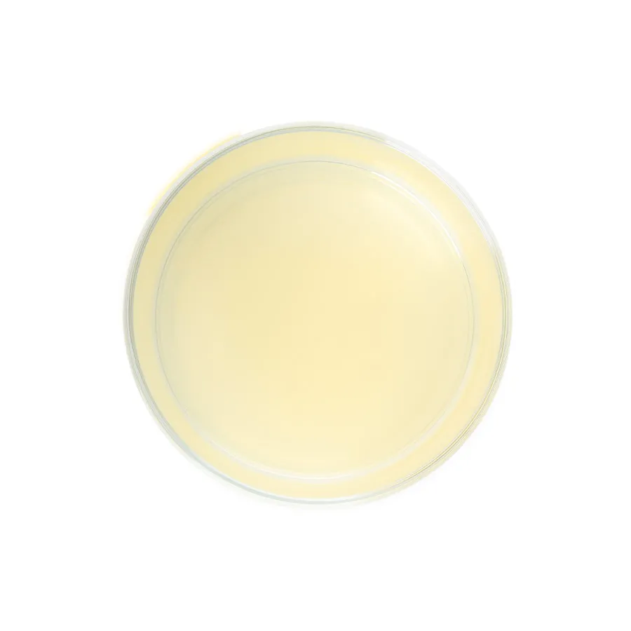 Lemon Juice