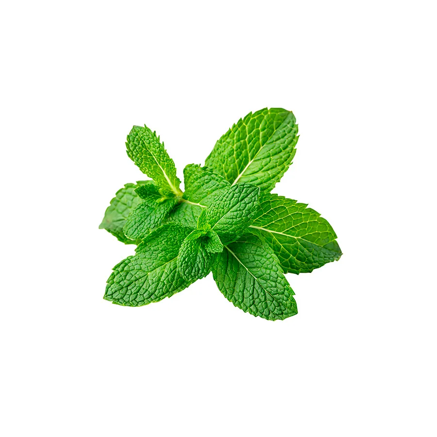 Mint