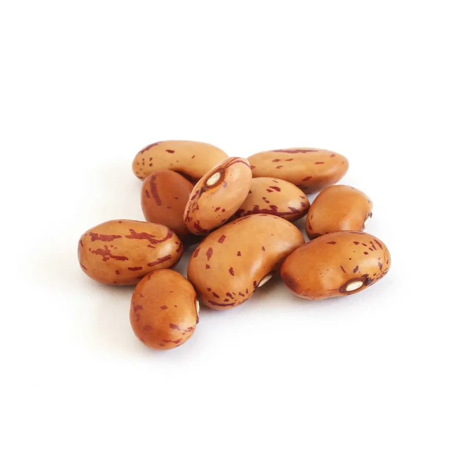 Pinto Beans