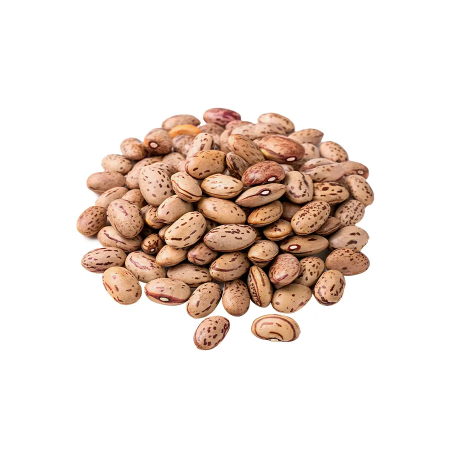 Pinto Beans