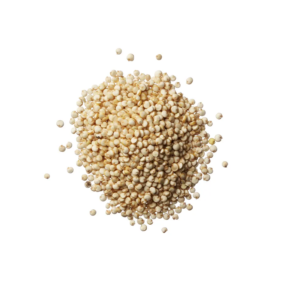 Quinoa