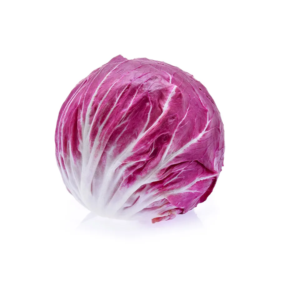 Red Cabbage