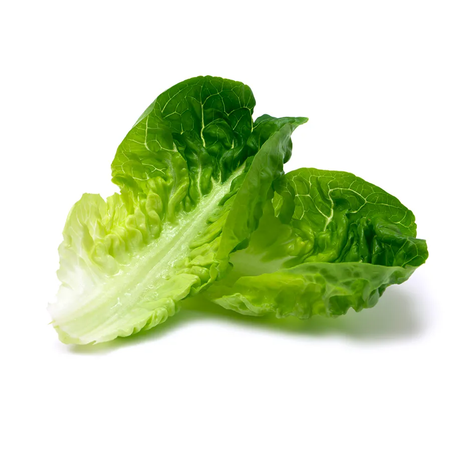 Romaine Lettuce