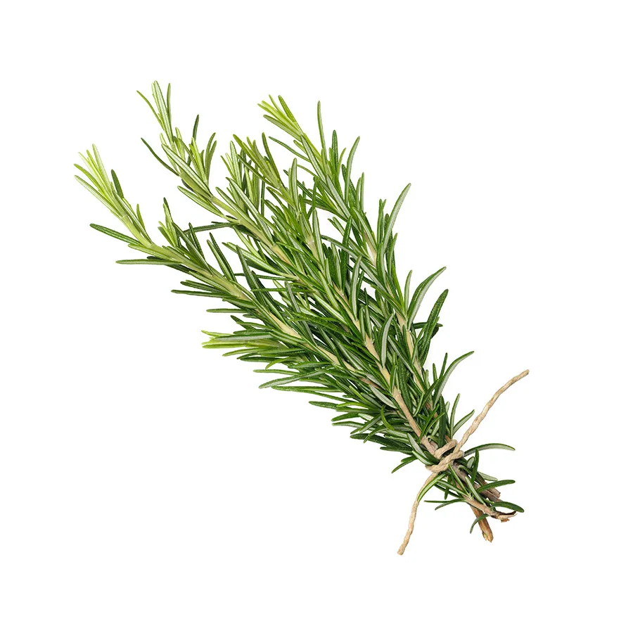 Rosemary