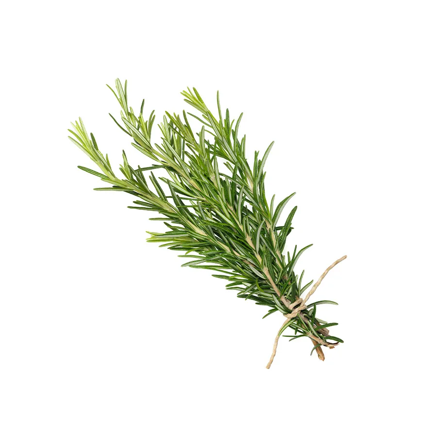 Rosemary