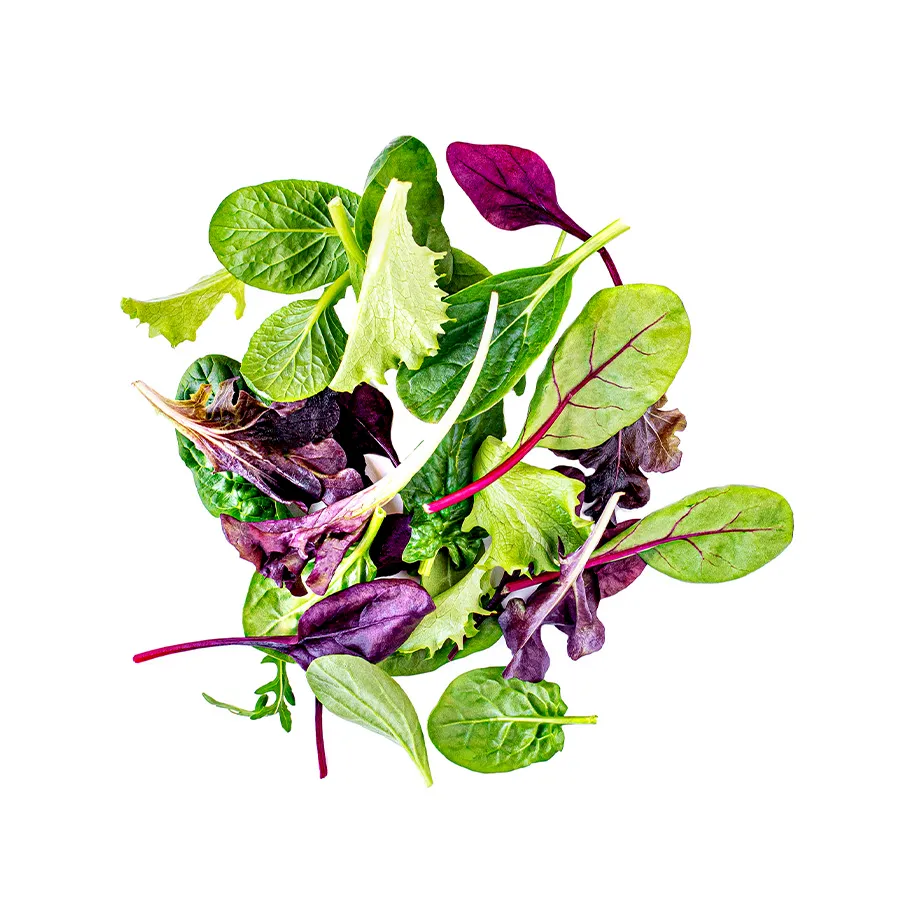 Salad Greens