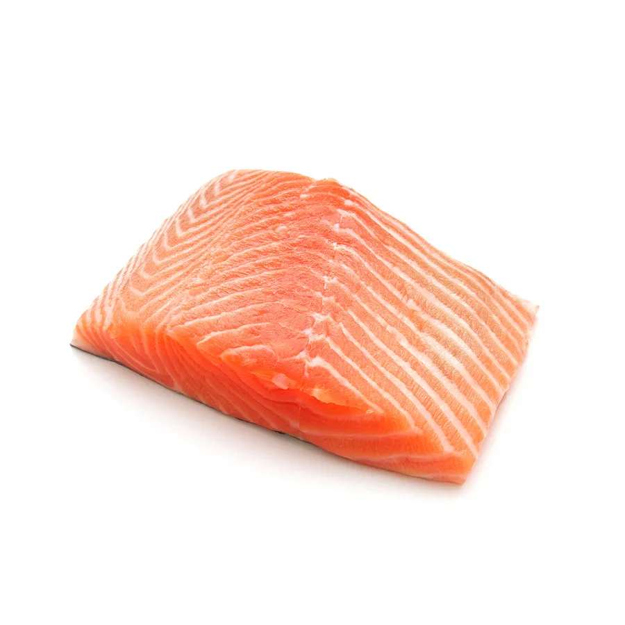 Salmon