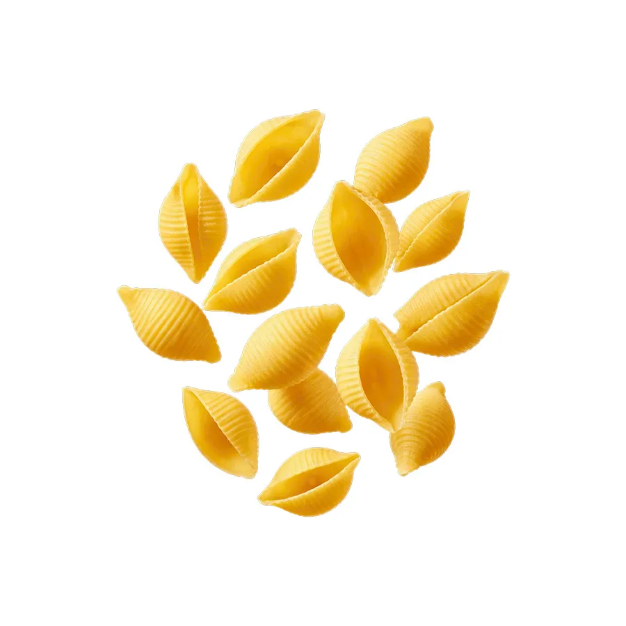 Whole Wheat Pasta Shells