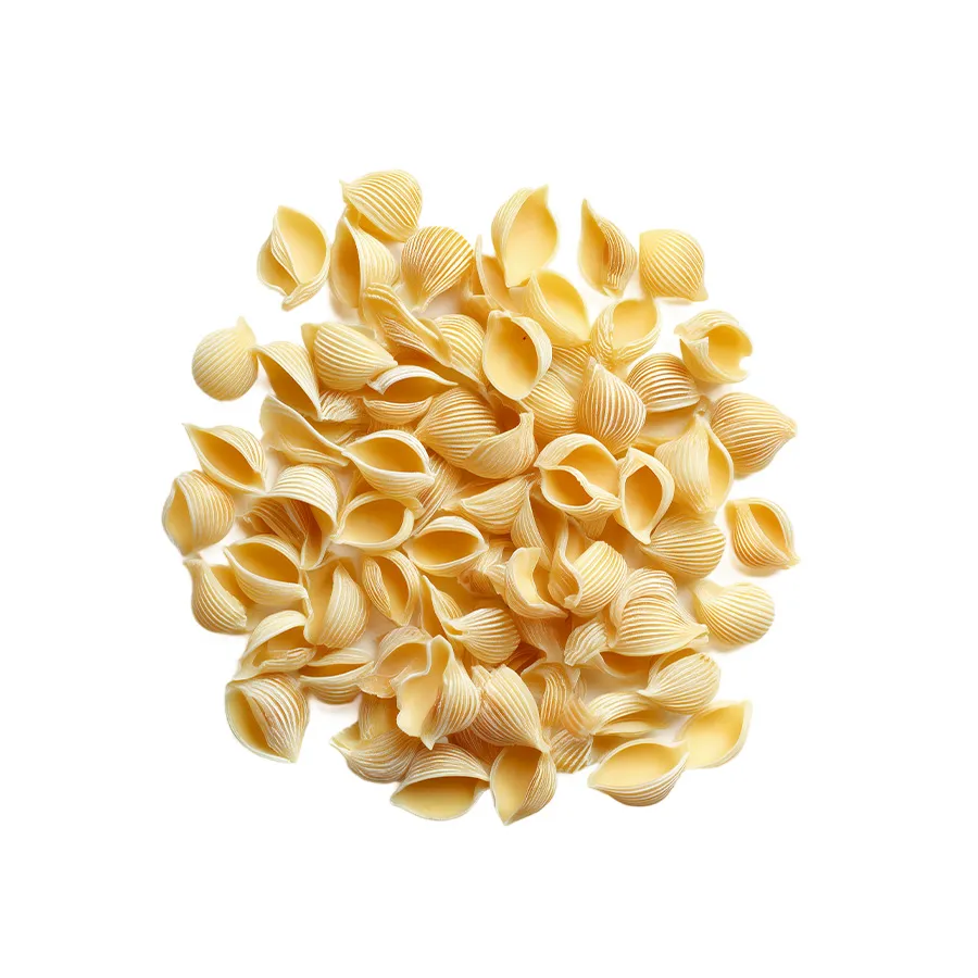 Whole Wheat Pasta Shells