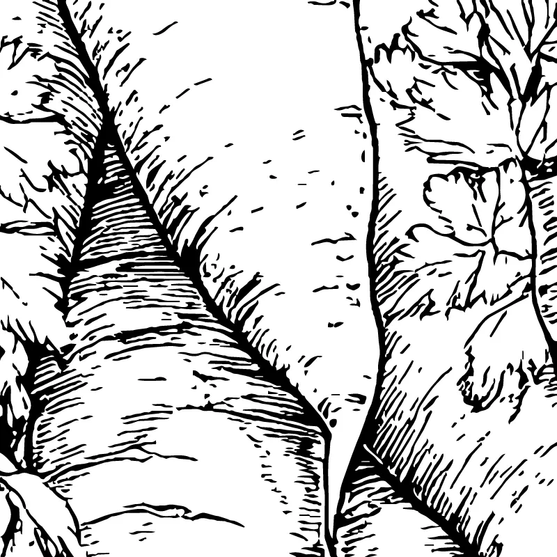 coloring-advanced-carrots