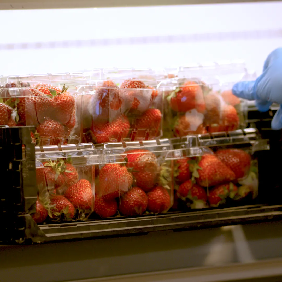 b-roll_day_c_00_03_31_19_still011
