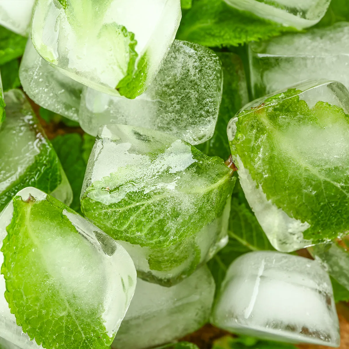 tip-freeze-herbs