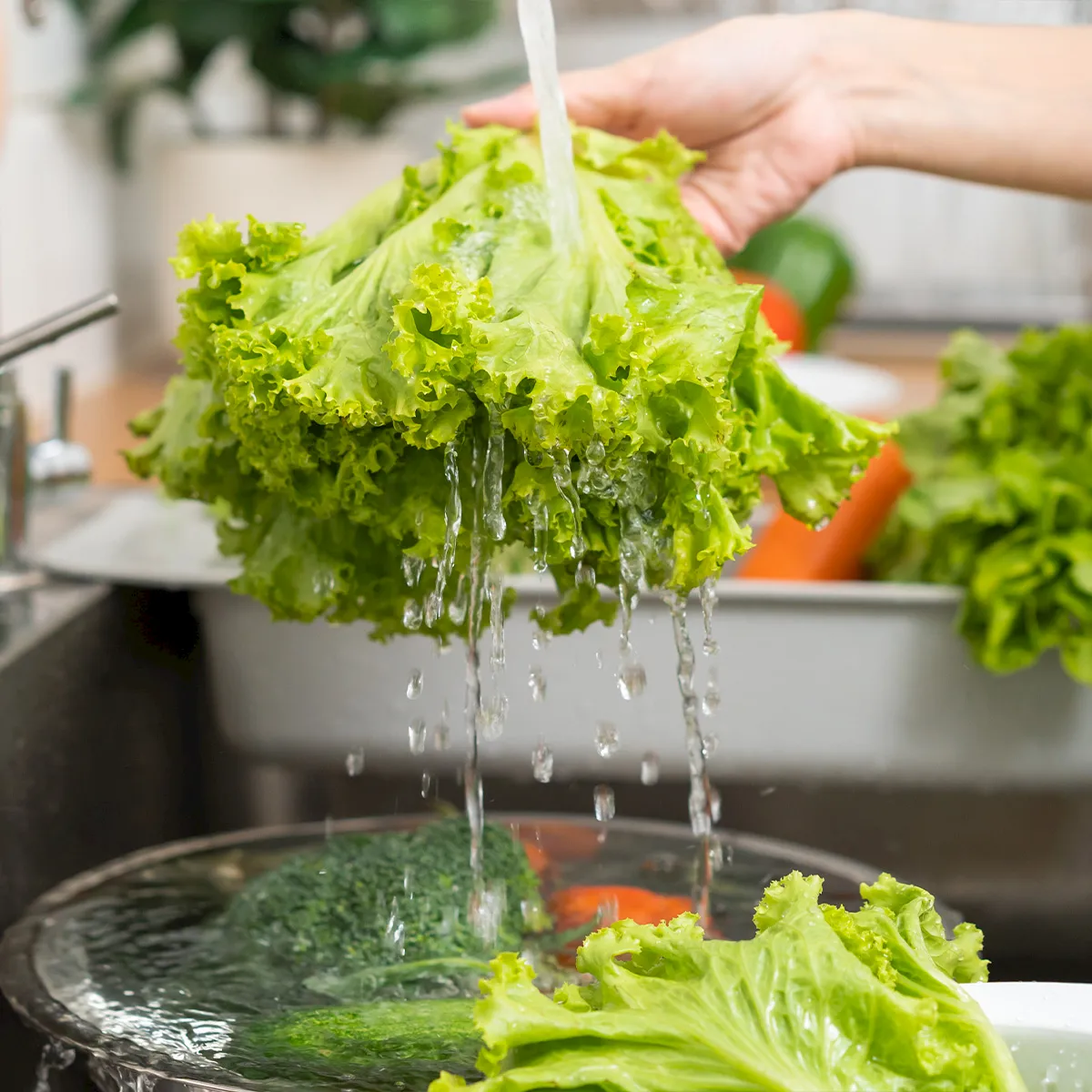 tip-wash-produce